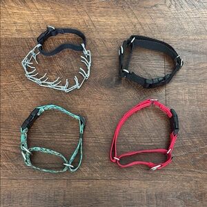 Training Adjustable Dog Collars Set - Black, Red, Blue